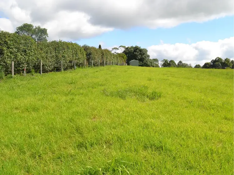 Sixth view of Homely land listing, Lot 51 Tallowwood Street, Maleny QLD 4552
