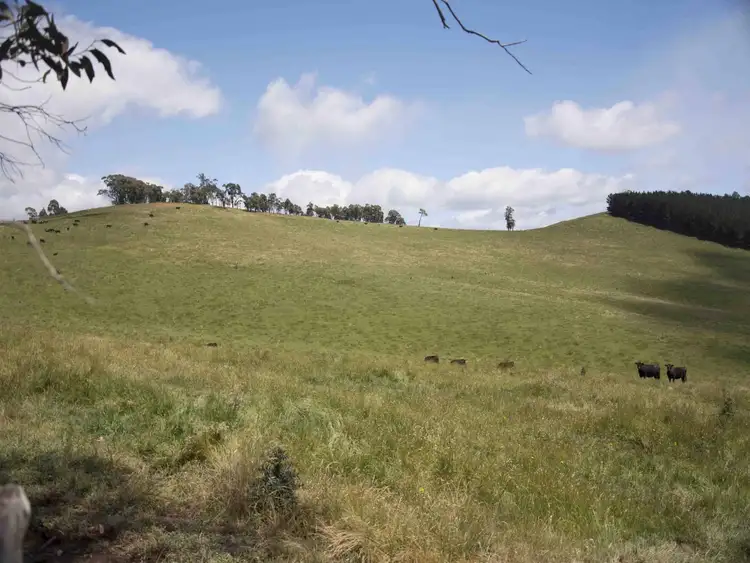 Second view of Homely rural property listing, 390 Kangaroo Track, Cassilis VIC 3898