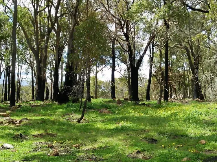 Third view of Homely land listing, 54 Leavy Road, Waroona WA 6215