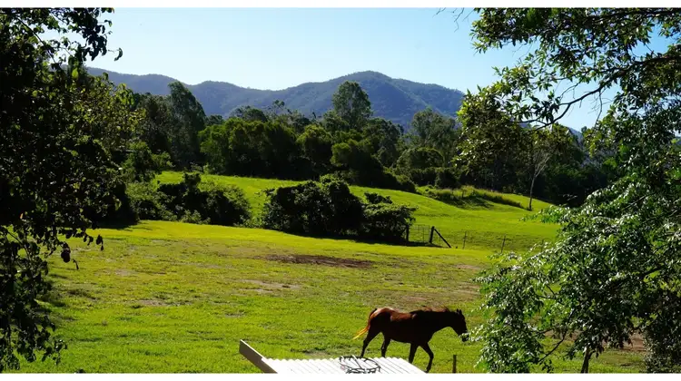 Fourth view of Homely house listing, 12 MANGIFERA CLOSE, Wights Mountain QLD 4520