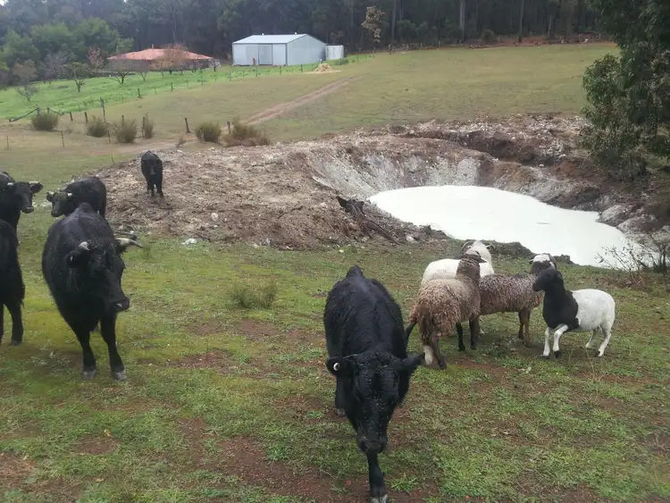 Sixth view of Homely rural property listing, Address available on request