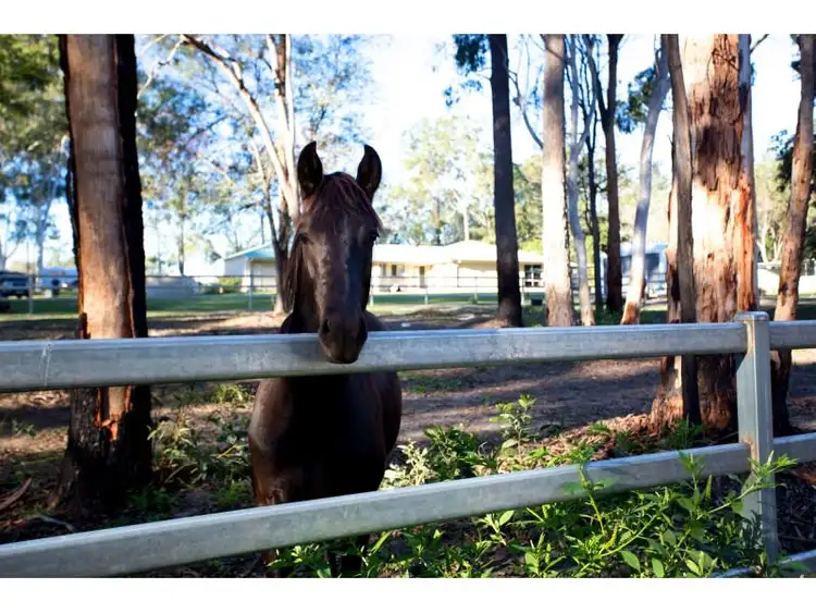 146-158 Holloway Road, Chambers Flat QLD 4133