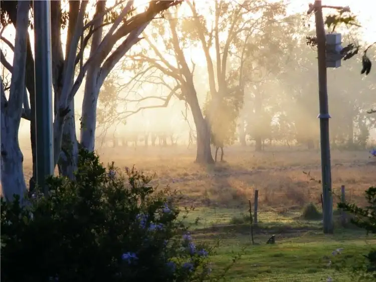 Second view of Homely rural property listing, 65 Tomaszuk Road, Moura QLD 4718
