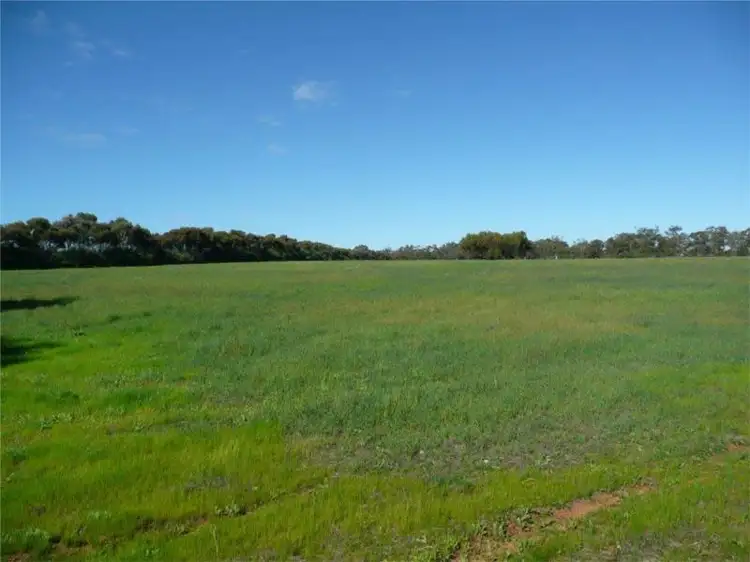 Lot 204 Chitty Road, Bakers Hill WA 6562