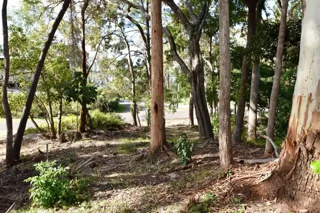 Third view of Homely land listing, 1 Mango Lane, Boreen Point QLD 4565