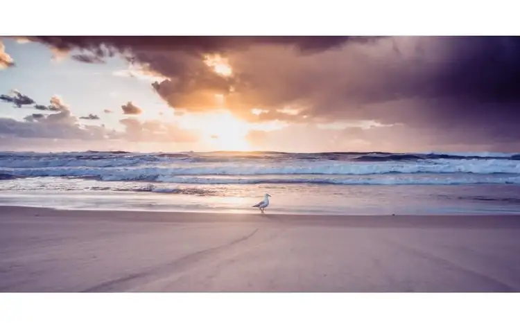 Lot 218 Cylinders Drive, Kingscliff NSW 2487