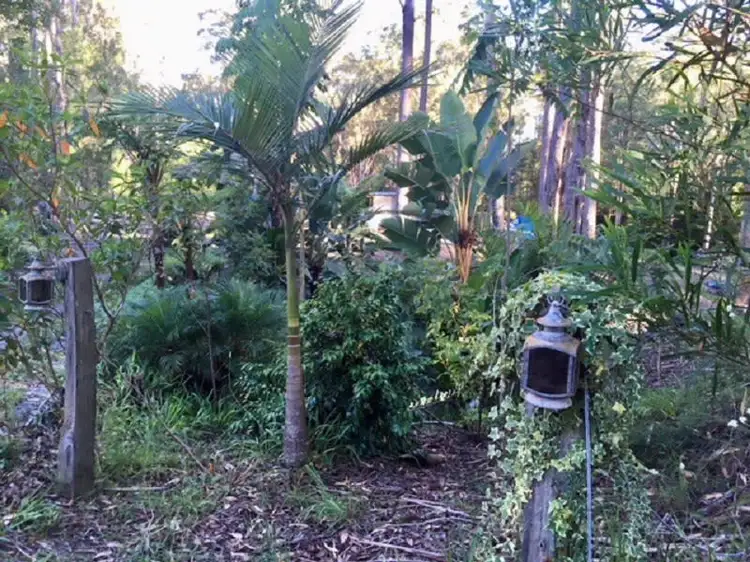 Fourth view of Homely rural property listing, 11 Rainforest Drive, Mitchells Island NSW 2430