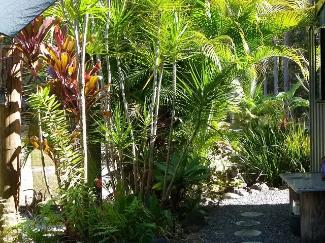 Fourth view of Homely rural property listing, 69 Hempsall Road, Cootharaba QLD 4565