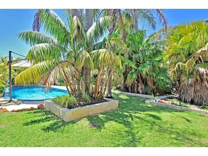 Main view of Homely house listing, 3 Hydra Close, Rockingham WA 6168