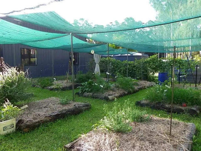 Sixth view of Homely rural property listing, 69 Hempsall Road, Cootharaba QLD 4565