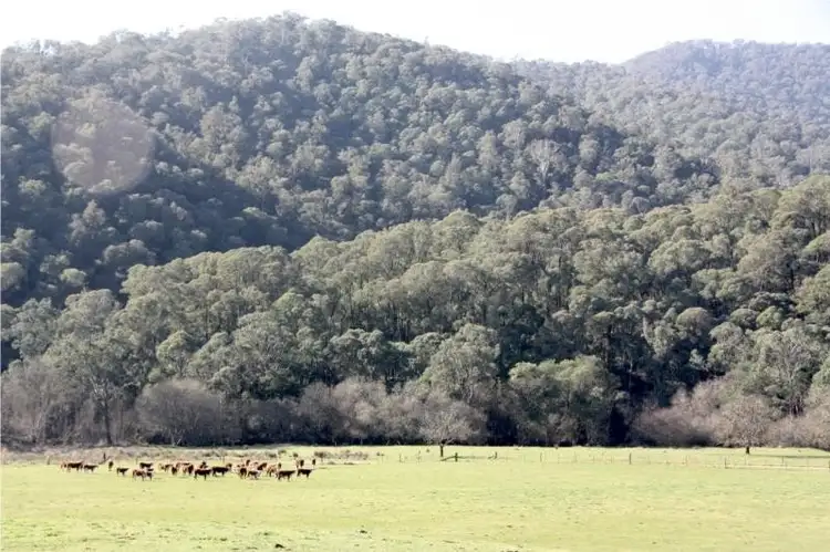 Second view of Homely land listing, Lots 1-5 Morses Creek Road, Wandiligong VIC 3744