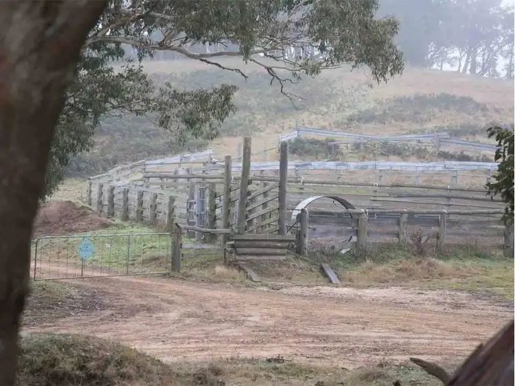 Third view of Homely rural property listing, 390 Kangaroo Track, Cassilis VIC 3898