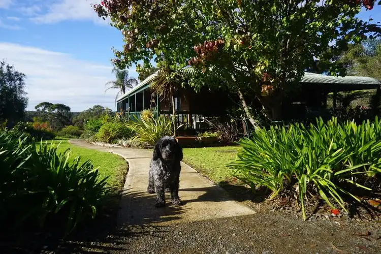 Sixth view of Homely rural property listing, 36 Corunna Road, Narooma NSW 2546