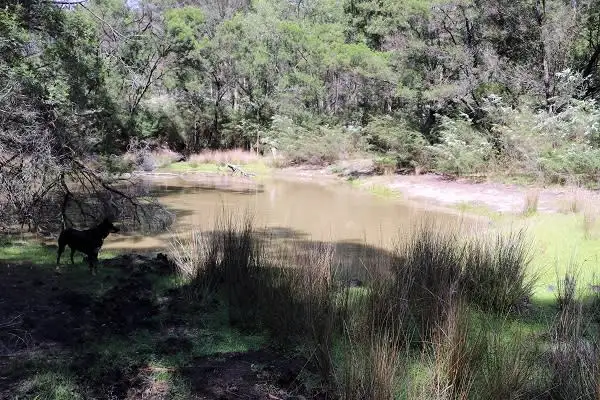 Sixth view of Homely rural property listing, 82A Duffy Road, Briagolong VIC 3860