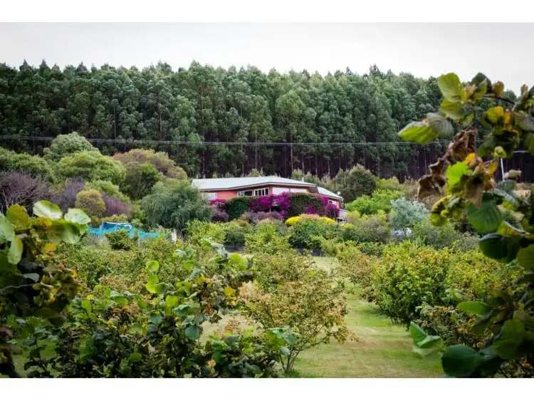 Fourth view of Homely rural property listing, 479 Nettlefolds Road, Winkleigh TAS 7275