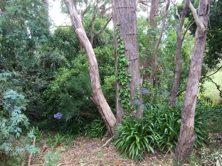Fifth view of Homely land listing, Address available on request