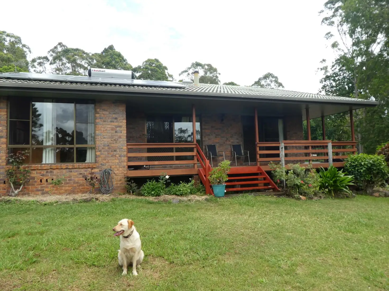 Main view of Homely rural property listing, 247 Skyline Road, Monaltrie NSW 2480