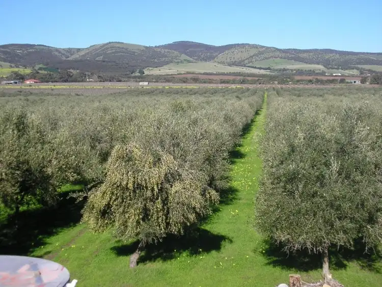 Third view of Homely rural property listing, 194 Hahn Road, Sellicks Hill SA 5174