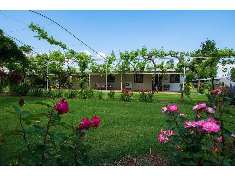 228 Wilbetree Road, Mudgee NSW 2850