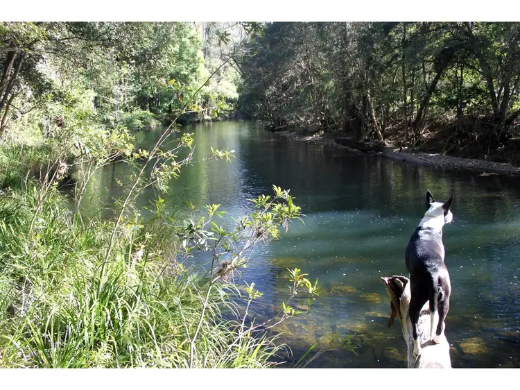 Main view of Homely rural property listing, 2260 Pappinbarra Road, Pappinbarra NSW 2446