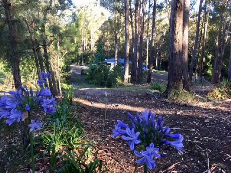 Second view of Homely rural property listing, 11 Rainforest Drive, Mitchells Island NSW 2430