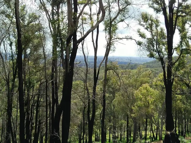 Fifth view of Homely land listing, 54 Leavy Road, Waroona WA 6215