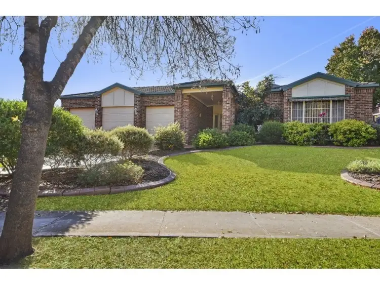51 Rose Drive, Mount Annan NSW 2567
