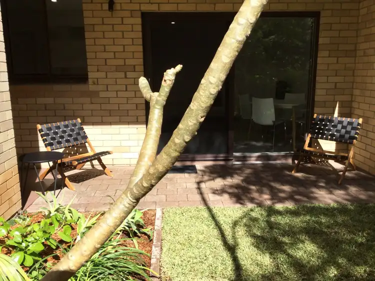 2/11-13 Caronia Avenue, Cronulla NSW 2230