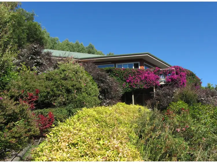 Main view of Homely rural property listing, 479 Nettlefolds Road, Winkleigh TAS 7275
