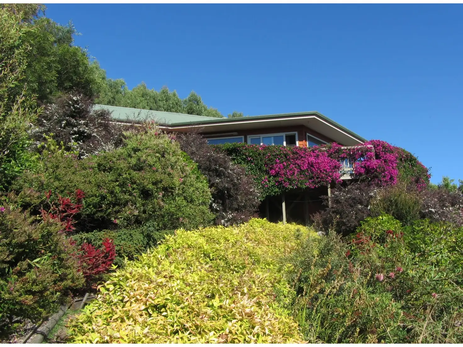 Main view of Homely rural property listing, 479 Nettlefolds Road, Winkleigh TAS 7275