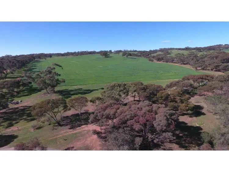 Second view of Homely rural property listing, 466 Old Anlaby Road, Kapunda SA 5373