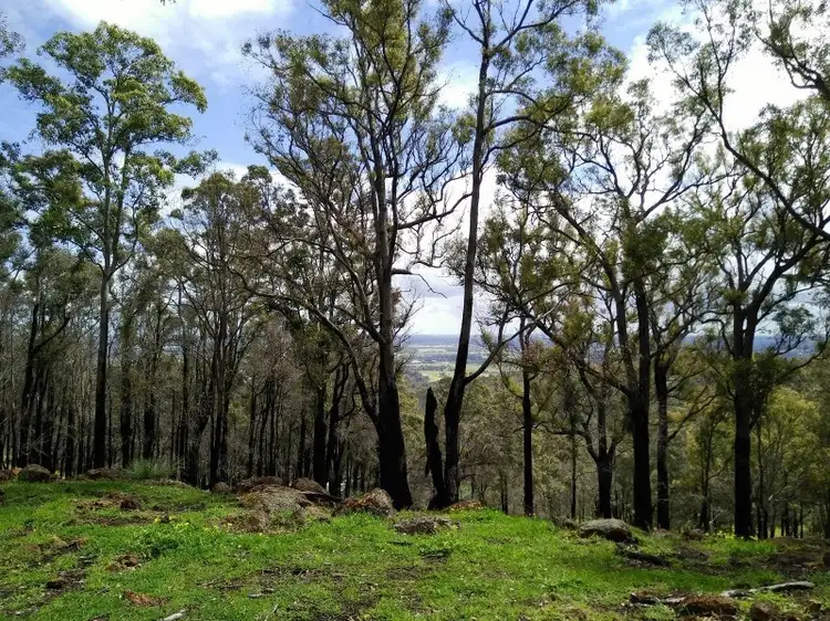 Sixth view of Homely land listing, 54 Leavy Road, Waroona WA 6215