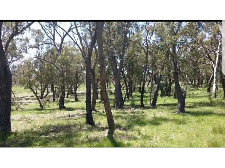 Second view of Homely land listing, 256 mount haven way, Meadow Flat NSW 2795