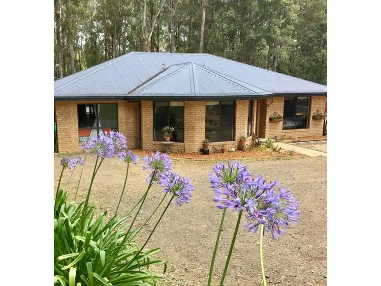11 Rainforest Drive, Mitchells Island NSW 2430