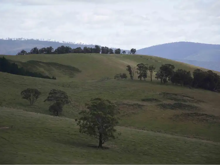 Sixth view of Homely rural property listing, 390 Kangaroo Track, Cassilis VIC 3898