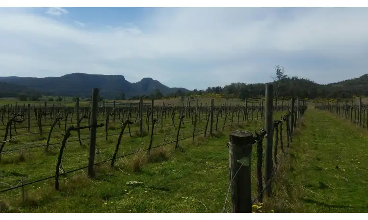 Fifth view of Homely rural property listing, 2040 Golden Highway, Sandy Hollow NSW 2333