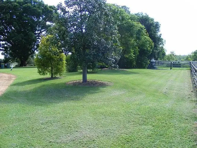 Seventh view of Homely rural property listing, 8 Harm Road, Forest Hill QLD 4342