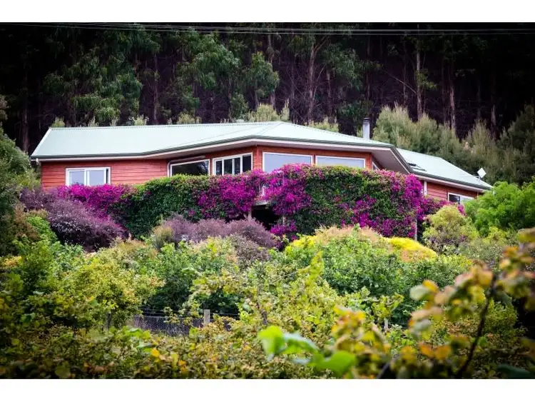 Second view of Homely rural property listing, 479 Nettlefolds Road, Winkleigh TAS 7275