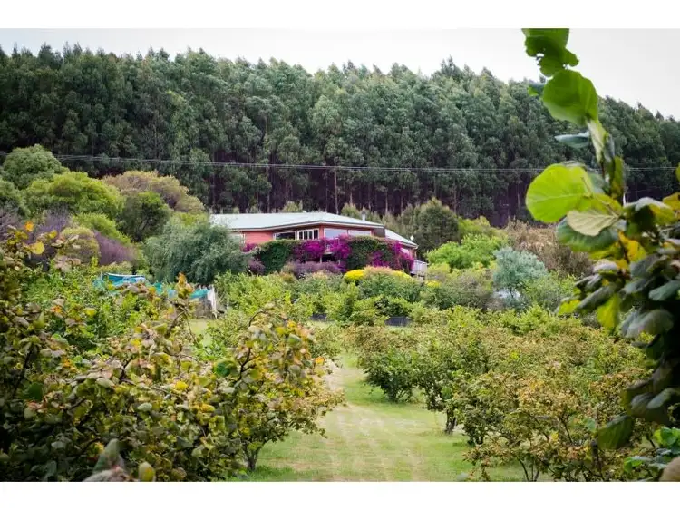 Third view of Homely rural property listing, 479 Nettlefolds Road, Winkleigh TAS 7275