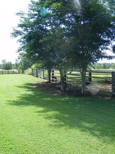 Sixth view of Homely rural property listing, 8 Harm Road, Forest Hill QLD 4342