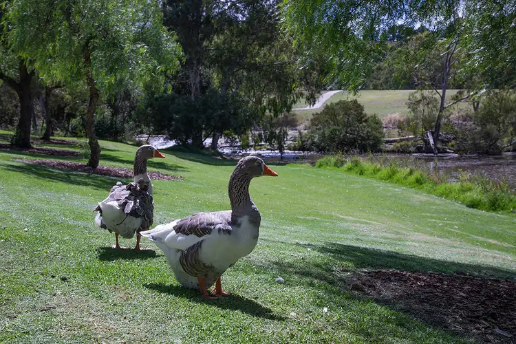 Third view of Homely land listing, LOT 124, Lot 124 Bridgend Street, Bulla VIC 3428