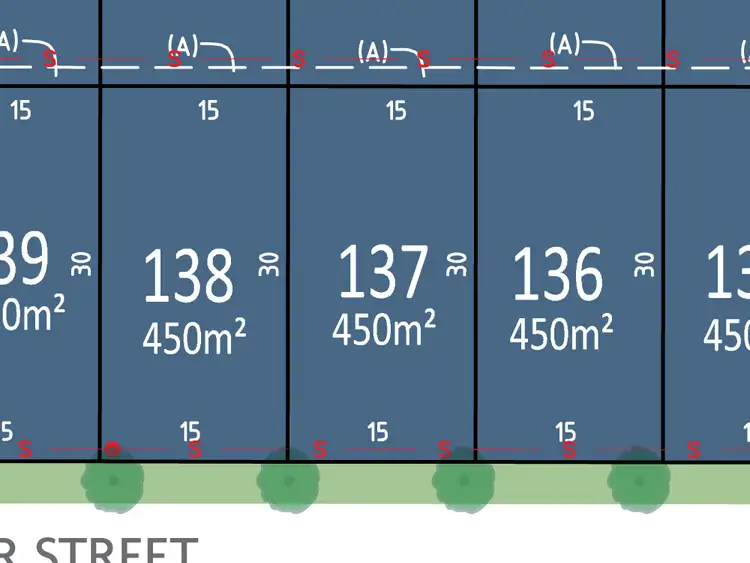 LOT 137, Lot 137 Tiger Street, Silverdale NSW 2752