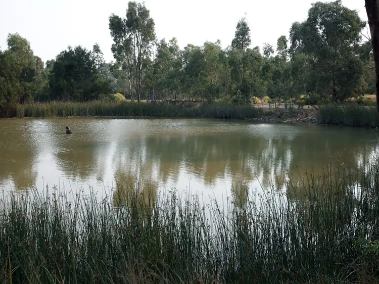 Third view of Homely townhouse listing, 3 Braddon Way, Lynbrook VIC 3975