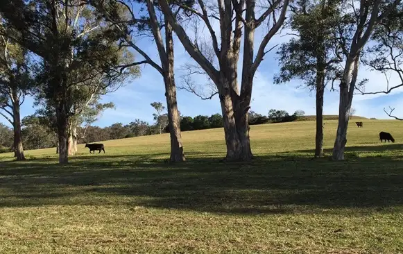 Lot 10a Belmont, North Richmond NSW 2754