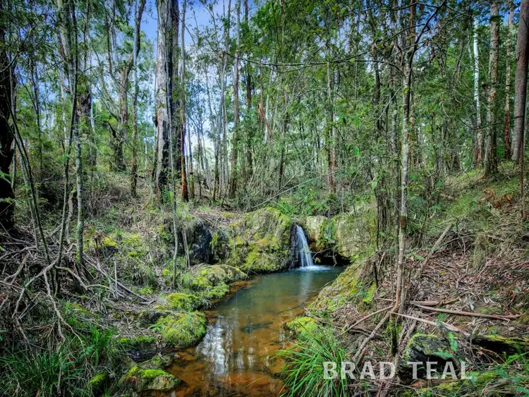 Fifth view of Homely house listing, 20 Mulcahy Road, Bullengarook VIC 3437