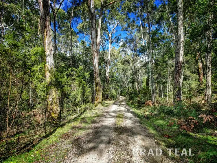 Sixth view of Homely house listing, 20 Mulcahy Road, Bullengarook VIC 3437