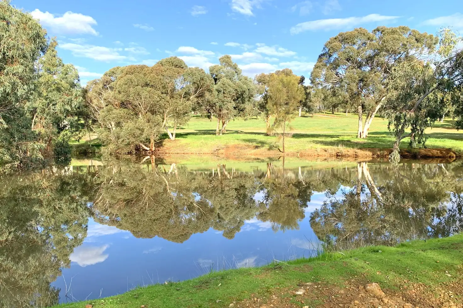 Main view of Homely house listing, 84 Range Road, Baskerville WA 6056