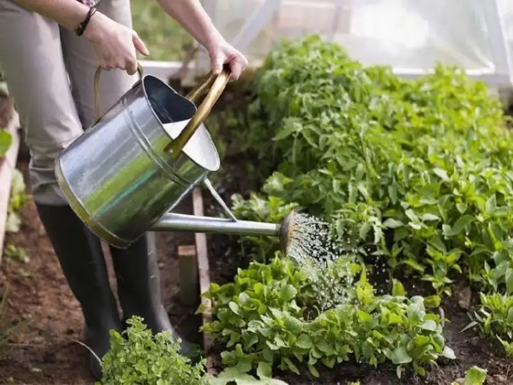 Third view of Homely land listing, Lot 15, Varia Crescent, Wattle Grove WA 6107