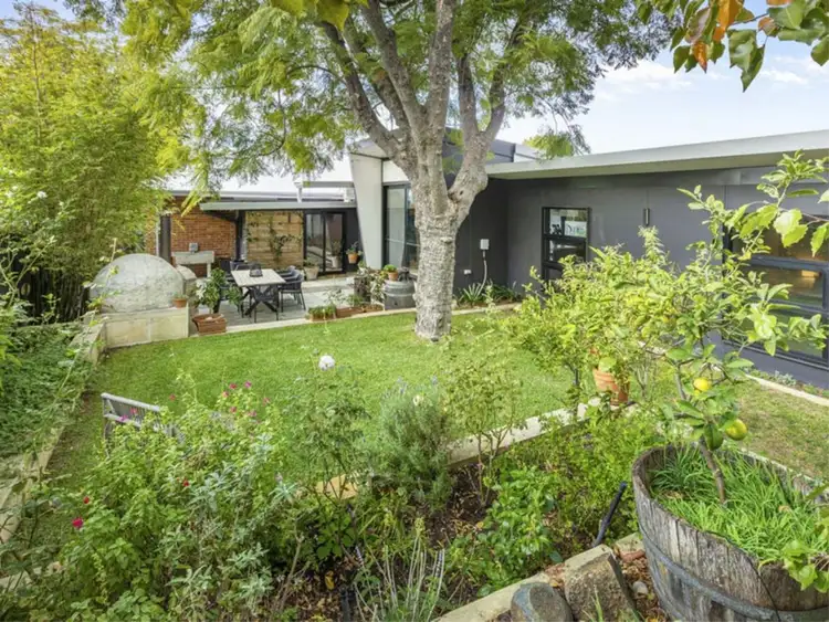Main view of Homely house listing, 11 Napier Street, Nedlands WA 6009