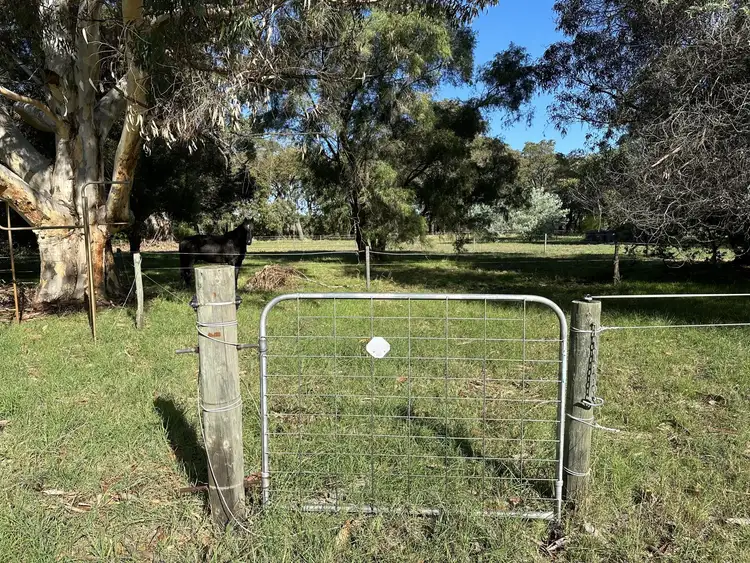 Fifth view of Homely house listing, 298 Rendezvous Road, Vasse WA 6280